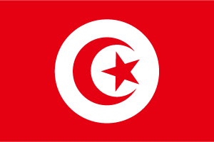 Flag_TUN